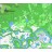 Топографическая карта Забайкальского края для Garmin v2.0 (IMG)