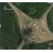 Приморский край 1:10 000 - Спутниковая Карта для Garmin 