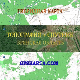 Брянская область гибридная карта генштаб для Garmin 