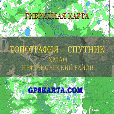 ХМАО Нефтеюганский район гибридная карта генштаб для Garmin 