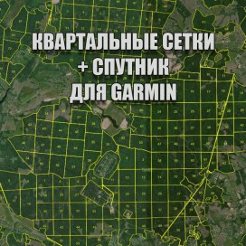 Бородинское лесничество квартальная сетка Garmin