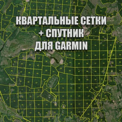 Рославльское лесничество квартальная сетка Garmin