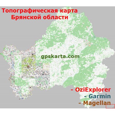 Брянская область Топографическая Карта для Garmin (JNX)