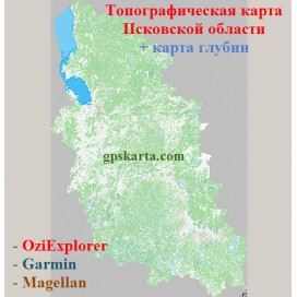 Псковская Область Топографическая Карта для Garmin (JNX)