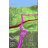 Карта для Garmin - Эллада (v 2015B.1)